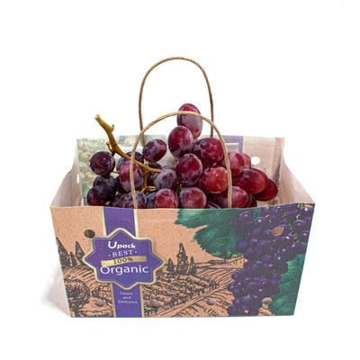 Biodegradable Waterproof Fruit Paper Bags Recyclable Sustainable