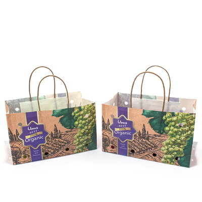 OEM Fruit Paper Bags , Flexo Printing Small Kraft Bags With Handles